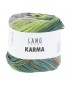 Karma - couleur 10 pelote