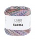 Karma - couleur 12 pelote